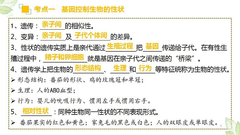 中考生物一轮复习习题精炼课件 专题20 生物的遗传和变异（含答案）第3页