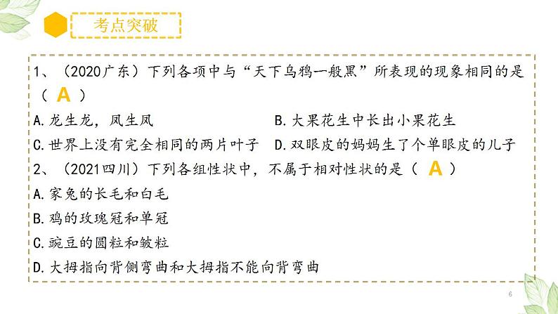 中考生物一轮复习习题精炼课件 专题20 生物的遗传和变异（含答案）第6页