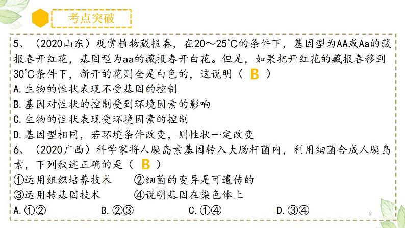 中考生物一轮复习习题精炼课件 专题20 生物的遗传和变异（含答案）第8页