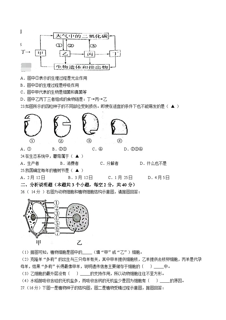 四川省泸州市龙马潭区2022-2023学年七年级上学期期末生物试题03
