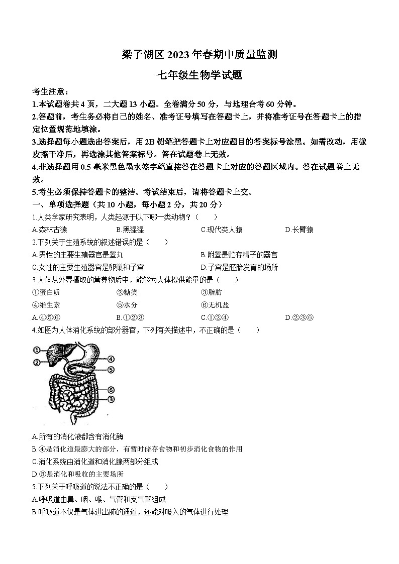 湖北省鄂州市梁子湖区2022-2023学年七年级下学期期中生物试题01