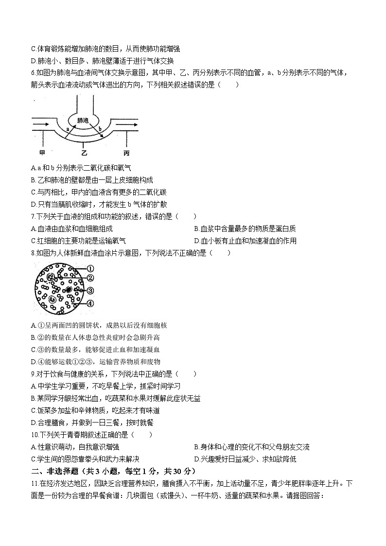 湖北省鄂州市梁子湖区2022-2023学年七年级下学期期中生物试题02