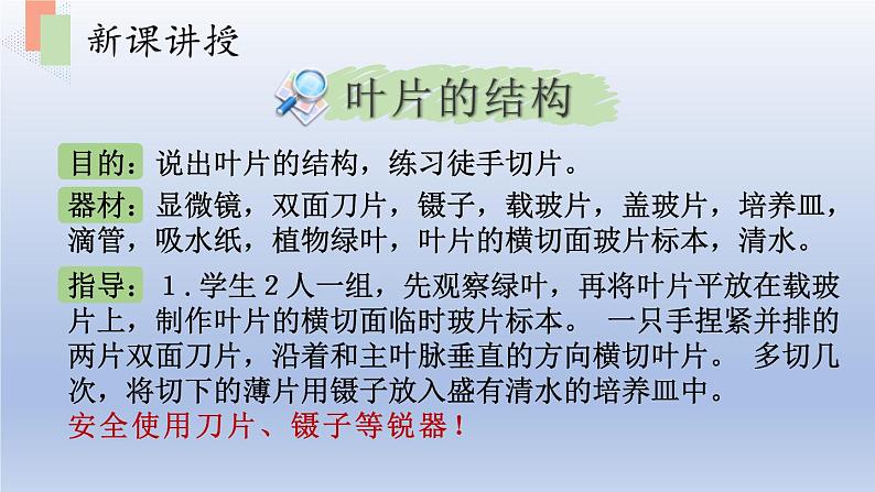 第六章绿色植物的光合作用和呼吸作用第二节植物光合作用的场所课件第6页