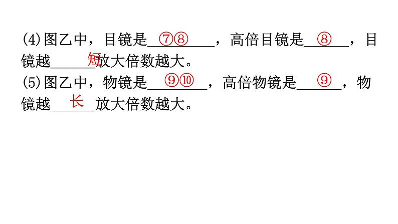 中考生物复习第二单元第一章细胞是生命活动的基本单位知识点课件第4页