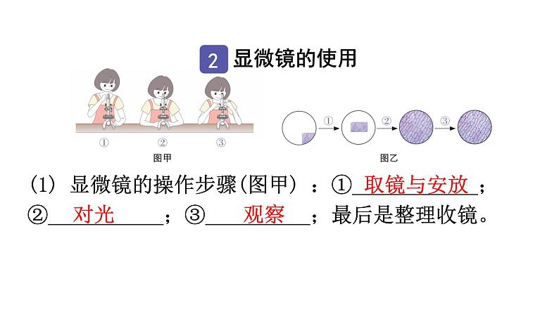 中考生物复习第二单元第一章细胞是生命活动的基本单位知识点课件第5页