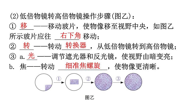 中考生物复习第二单元第一章细胞是生命活动的基本单位知识点课件第6页