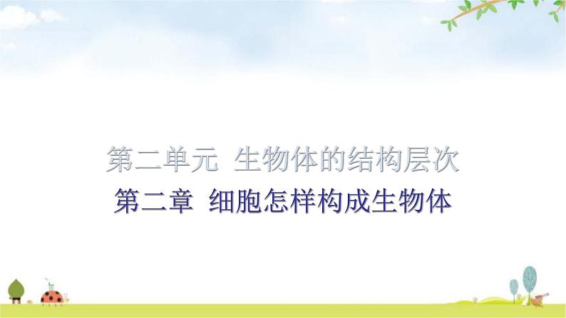 中考生物复习第二单元第二章细胞怎样构成生物体知识点课件01