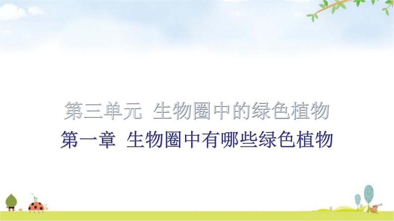 中考生物复习第三单元第一章生物圈中有哪些绿色植物知识点课件第1页