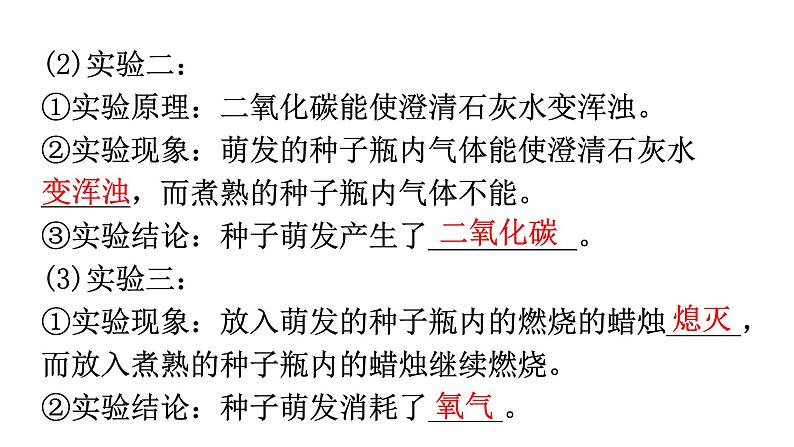 中考生物复习第三单元第五章绿色植物与生物圈中的碳-氧平衡知识点课件03