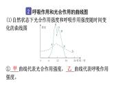 中考生物复习第三单元第五章绿色植物与生物圈中的碳-氧平衡知识点课件