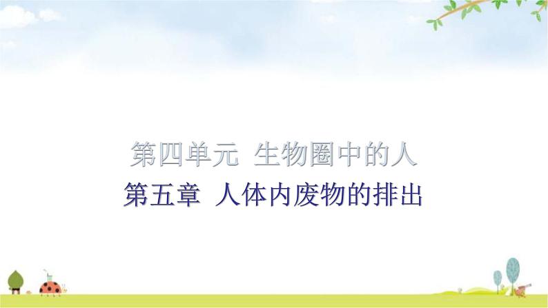 中考生物复习第四单元第五章人体内废物的排出知识点课件第1页