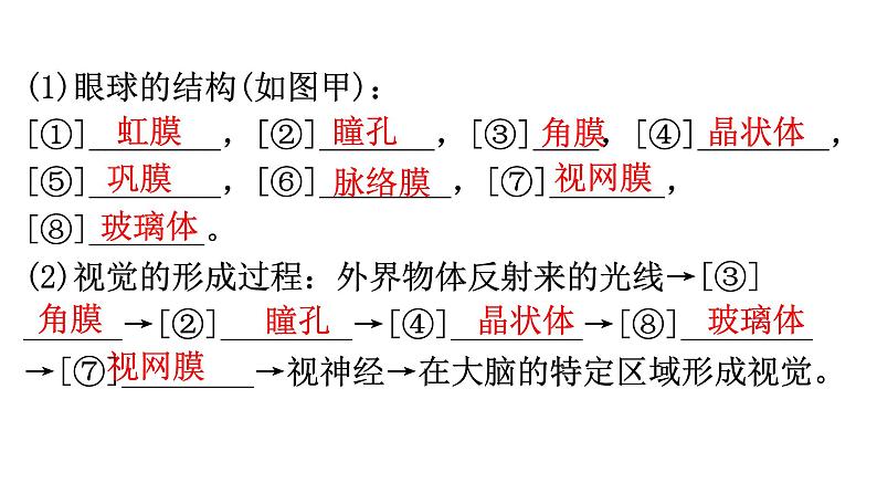 中考生物复习第四单元第六章人体生命活动的调节知识点课件03