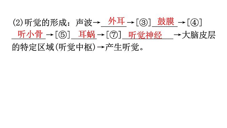 中考生物复习第四单元第六章人体生命活动的调节知识点课件06