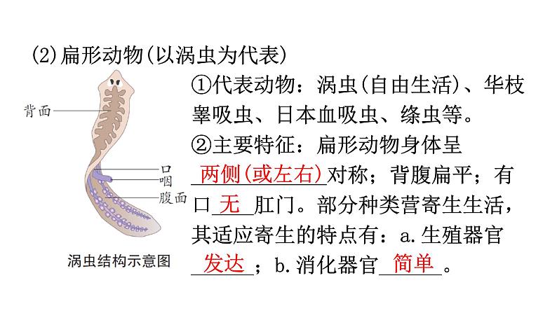 中考生物复习第五单元第一章动物的主要类群知识点课件03