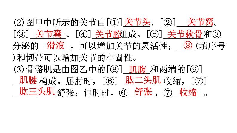 中考生物复习第五单元第二章动物的运动和行为知识点课件第3页