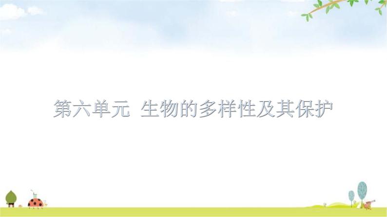 中考生物复习第六单元生物的多样性及其保护知识点课件01