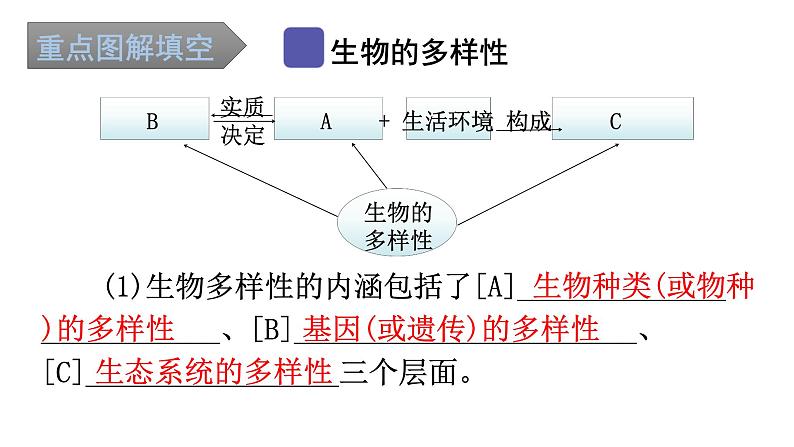 中考生物复习第六单元生物的多样性及其保护知识点课件02