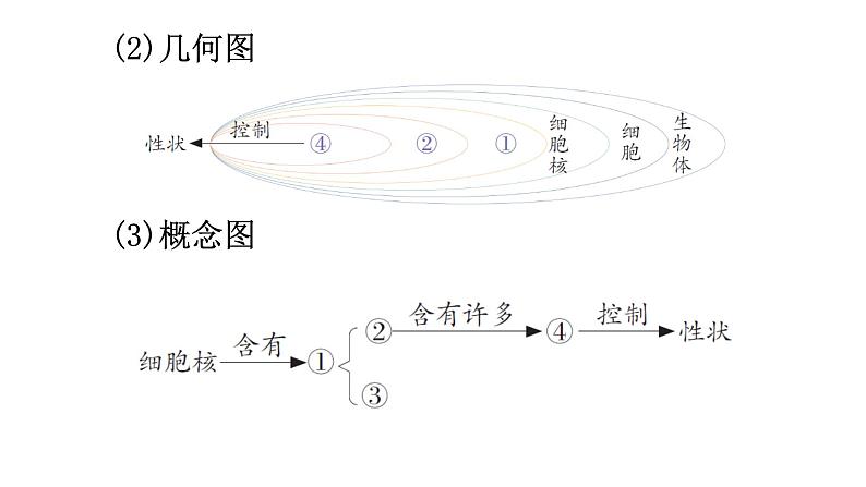 中考生物复习第七单元第二章生物的遗传与变异知识点课件06