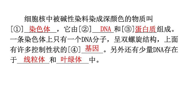 中考生物复习第七单元第二章生物的遗传与变异知识点课件07