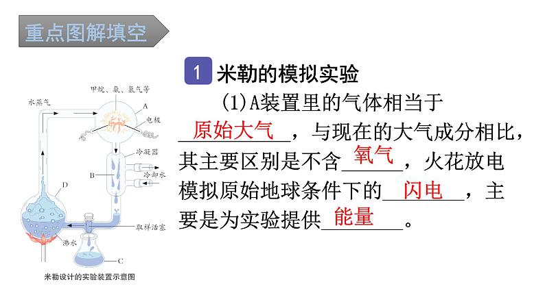 中考生物复习第七单元第三章生命起源和生物进化知识点课件02