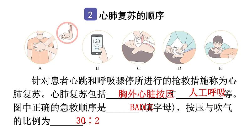 中考生物复习第八单元第二章用药与急救知识点课件第3页