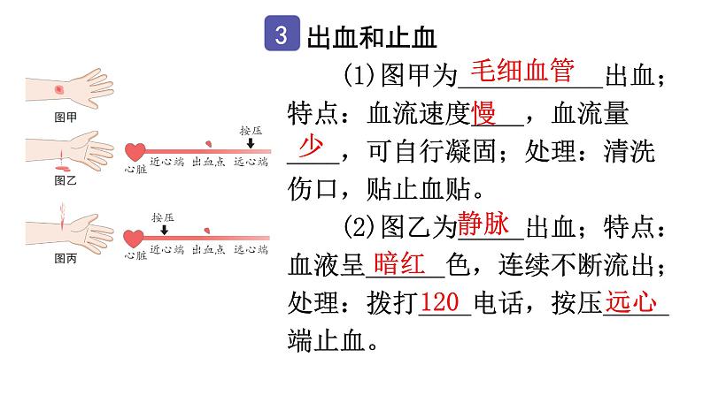 中考生物复习第八单元第二章用药与急救知识点课件第4页