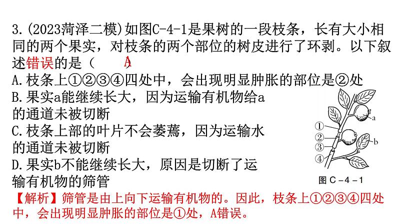 中考生物复习周测卷四（第三单元第三、四章）课件第4页