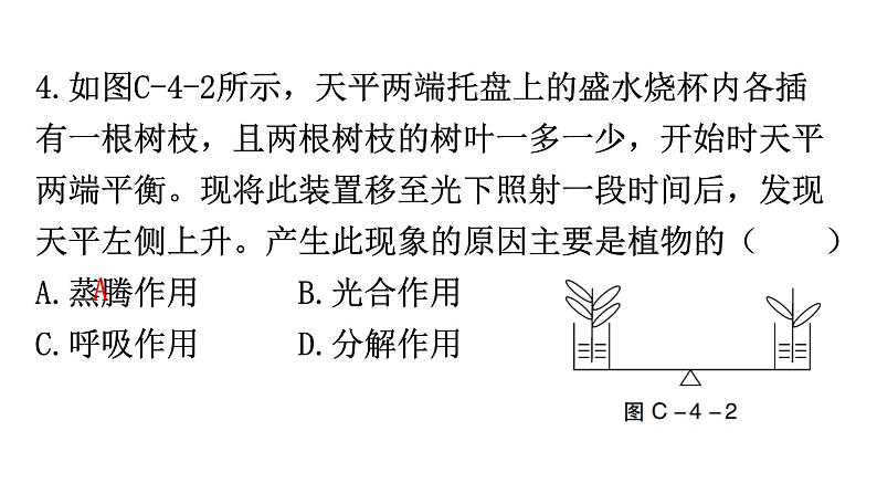 中考生物复习周测卷四（第三单元第三、四章）课件05