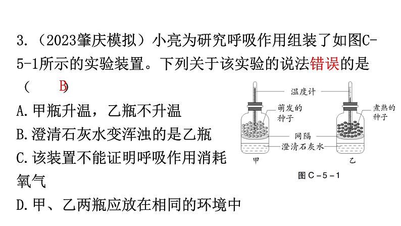 中考生物复习周测卷五（第三单元第五、六章）课件04