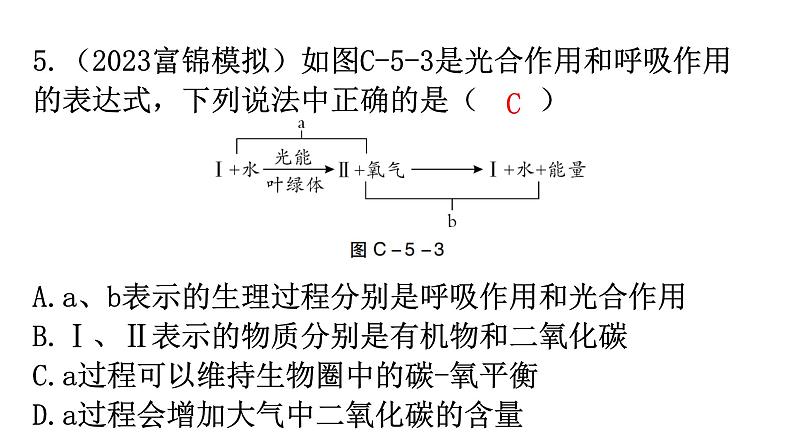 中考生物复习周测卷五（第三单元第五、六章）课件06