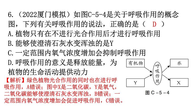 中考生物复习周测卷五（第三单元第五、六章）课件07