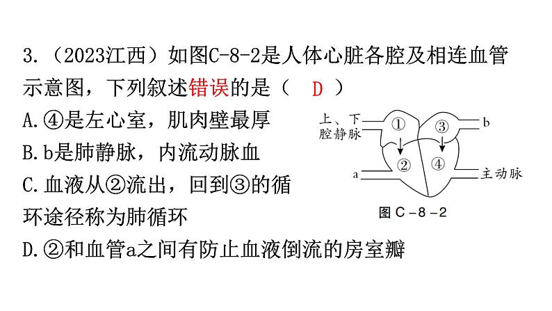 中考生物复习周测卷八（第四单元第四章3、4节和第五章）课件04