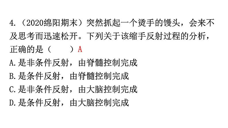 中考生物复习周测卷九（第四单元第六、七章）课件05