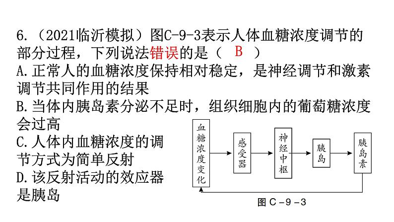 中考生物复习周测卷九（第四单元第六、七章）课件07