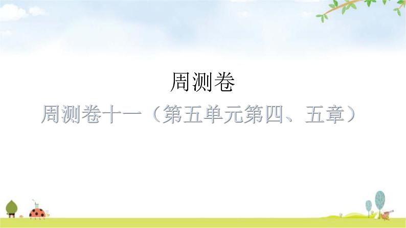 中考生物复习周测卷十一（第五单元第四、五章）课件第1页