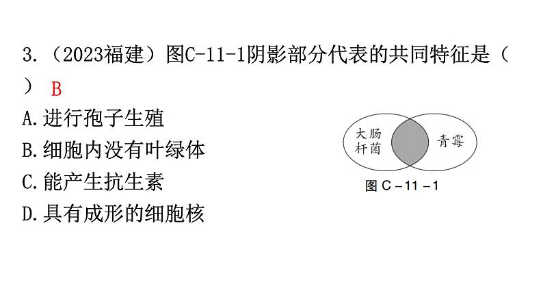 中考生物复习周测卷十一（第五单元第四、五章）课件第4页