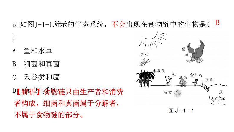 中考生物复习七年级上册综合测试卷课件05