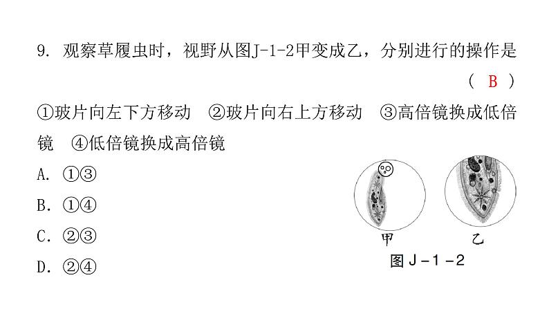 中考生物复习七年级上册综合测试卷课件08