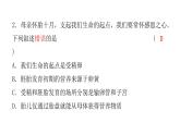 中考生物复习七年级下册综合测试卷课件