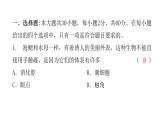 中考生物复习八年级上册综合测试卷课件