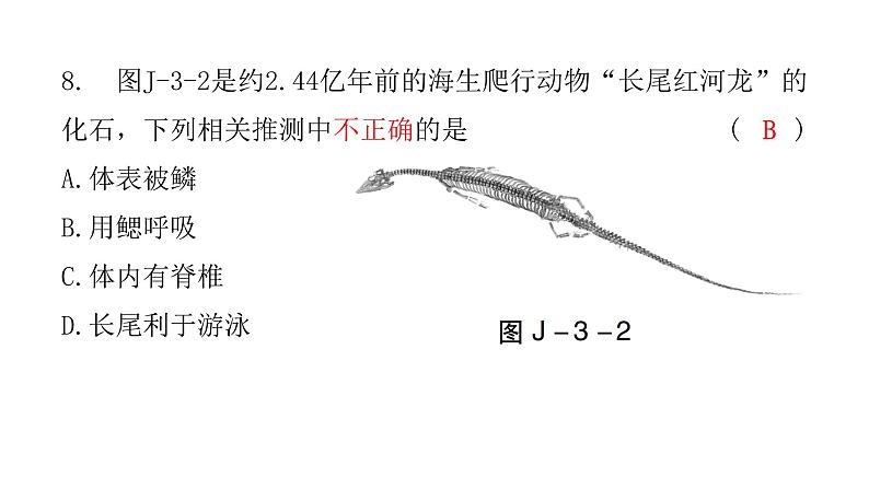 中考生物复习八年级上册综合测试卷课件第8页