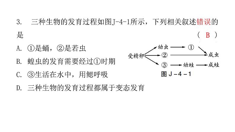 中考生物复习八年级下册综合测试卷课件第4页