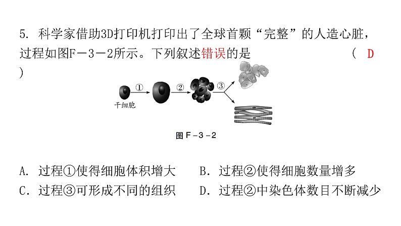 中考生物复习初中学业水平考试仿真试卷(三)课件第6页