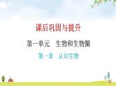 中考生物复习第一单元第一章认识生物课件