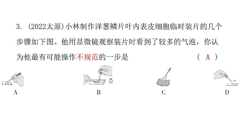 中考生物复习第二单元第一章细胞是生命活动的基本单位课件04