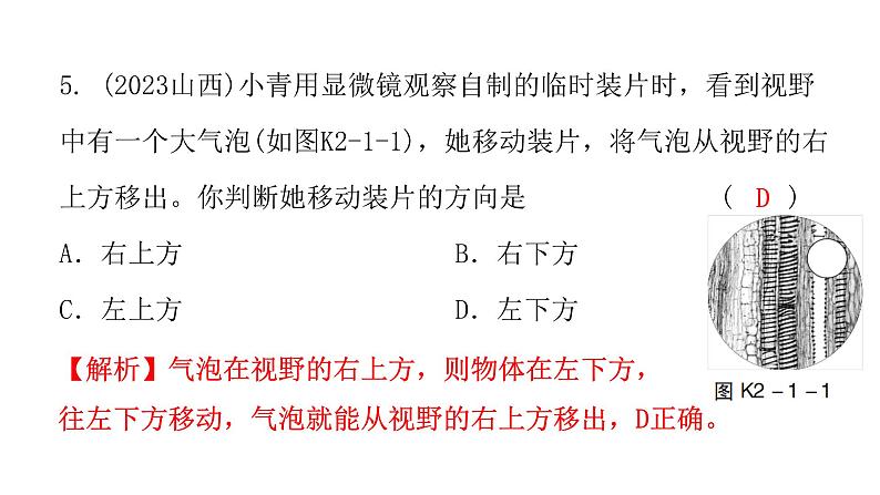 中考生物复习第二单元第一章细胞是生命活动的基本单位课件06