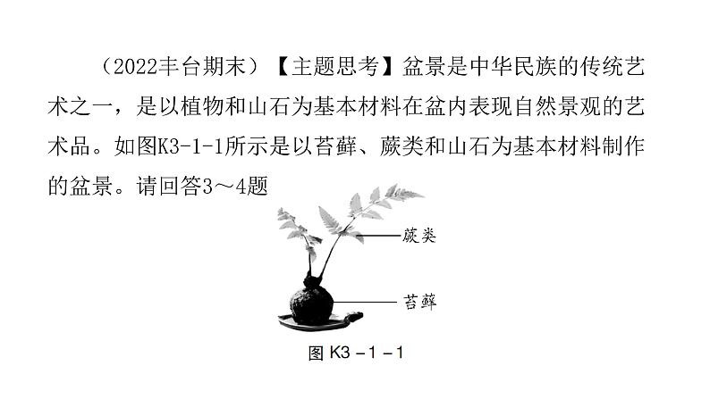 中考生物复习第三单元第一章生物圈中有哪些绿色植物课件04