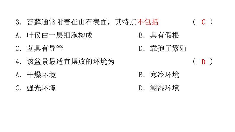 中考生物复习第三单元第一章生物圈中有哪些绿色植物课件05