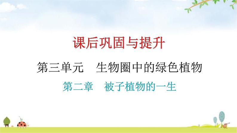 中考生物复习第三单元第二章被子植物的一生课件第1页