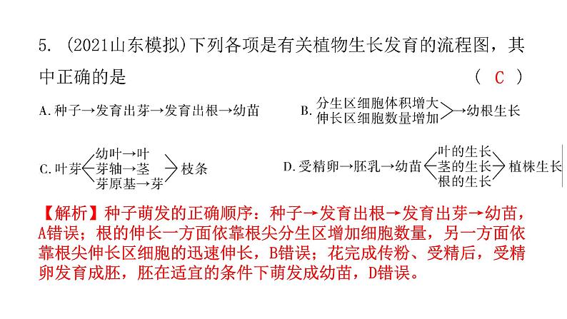 中考生物复习第三单元第二章被子植物的一生课件第7页